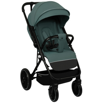 Коляска прогулочная Indigo Delta+ 