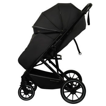 Коляска прогулочная Indigo Delta+ 