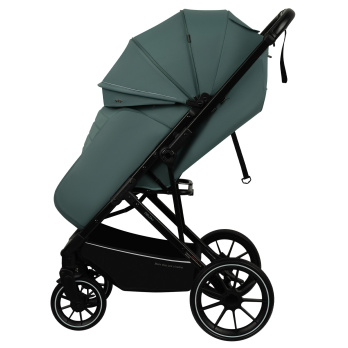 Коляска прогулочная Indigo Delta+ 