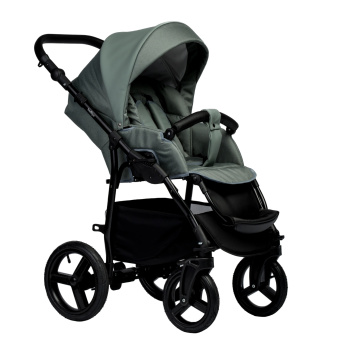 Коляска 2 в 1 Indigo IMPULSE ECO зеленый