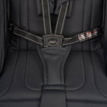 Коляска прогулочная Indigo EPICA XL Air с сумкой '2025 черный