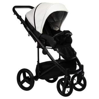 Коляска 2 в 1 Indigo TOUR ECO черный