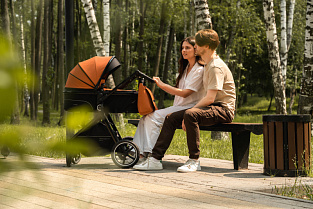 Как выбрать детскую коляску для новорожденного для зимы, весны, лета и осени | Indigo