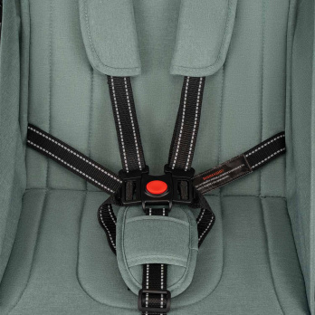 Коляска прогулочная Indigo TRIP зеленый