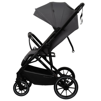 Коляска прогулочная Indigo Delta+ 