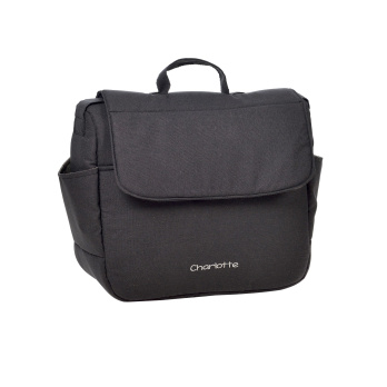 Коляска 2 в 1 Indigo CHARLOTTE Sity черный