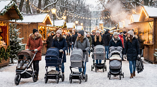 Лучшие коляски для зимы