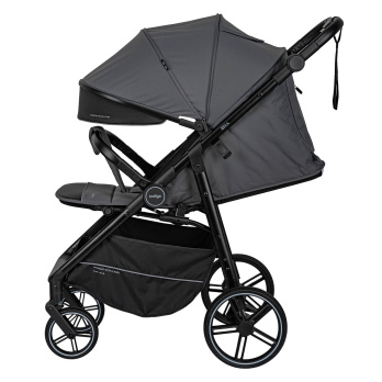 Коляска прогулочная Indigo ERA серый