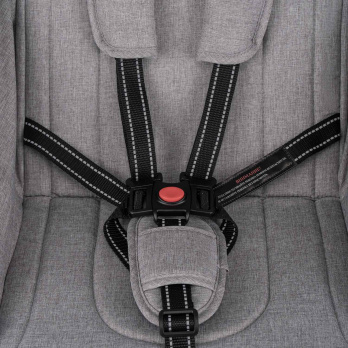 Коляска прогулочная Indigo TRIP серый