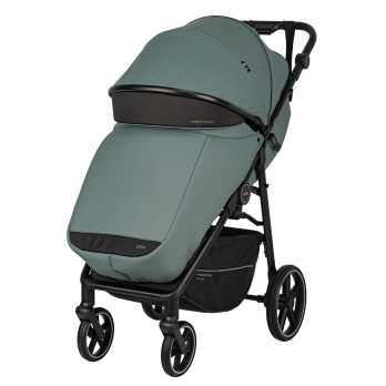 Коляска прогулочная Indigo ERA зеленый