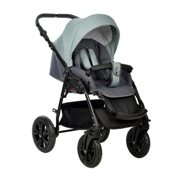 Коляска 2 в 1 Indigo CHARLOTTE Sity зеленый